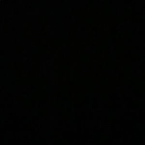 Meet your Posher, Max